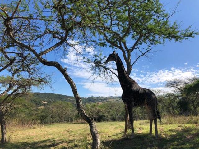 Property for sale in Ehlanzeni, Mpumalanga