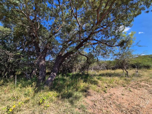 Property for sale in Naboomspruit, Limpopo