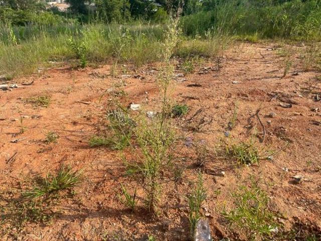 Property for sale in Mopani, Limpopo