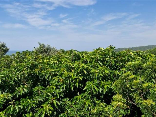 Property for sale in Princess Grant, Kwazulu-natal