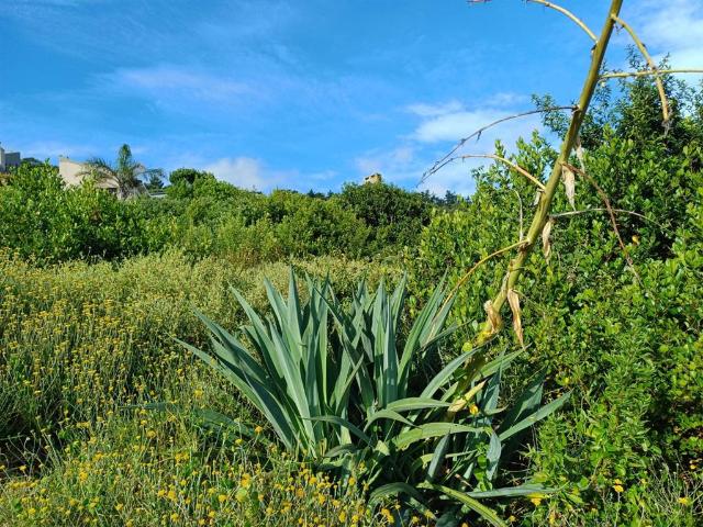 Property for sale in Groot Brak Rivier, Western Cape