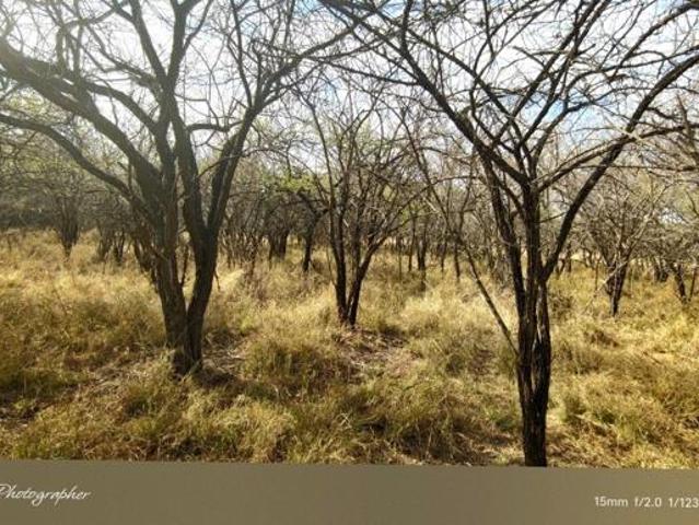 Property for sale in Naboomspruit, Limpopo