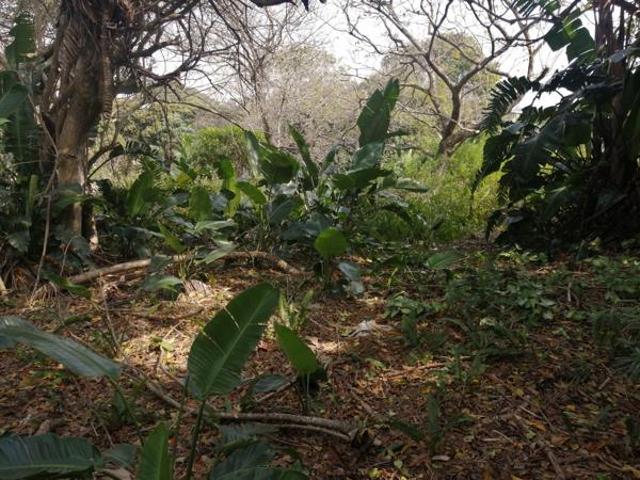 Property for sale in Ugu District Municipality, Kwazulu-natal