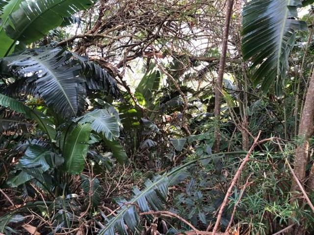 Property for sale in Ugu District Municipality, Kwazulu-natal