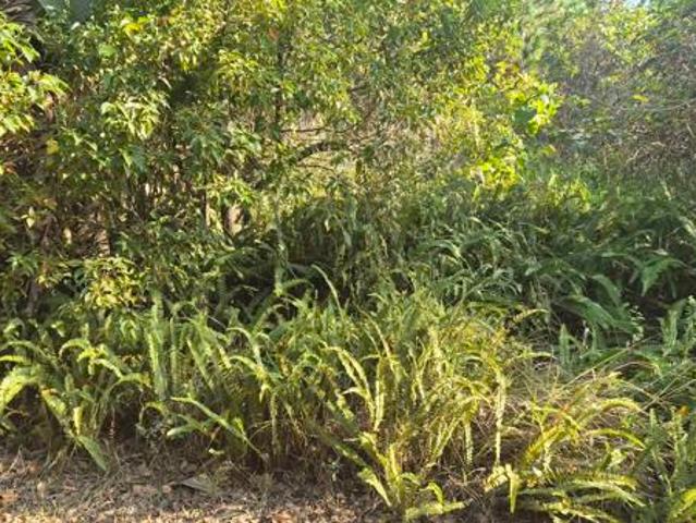 Property for sale in Ugu District Municipality, Kwazulu-natal