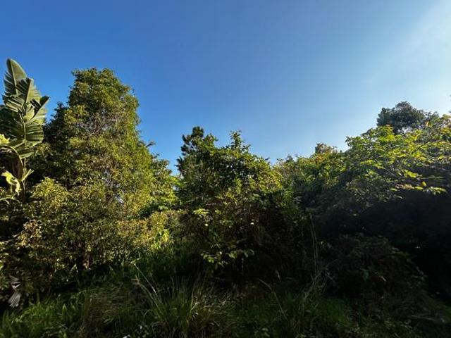 Property for sale in Ugu District Municipality, Kwazulu-natal