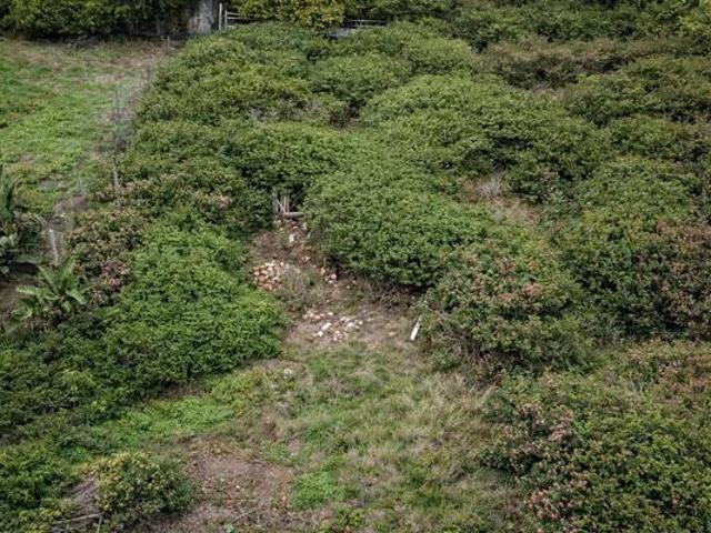Property for sale in Bushmans River Mouth, Eastern Cape