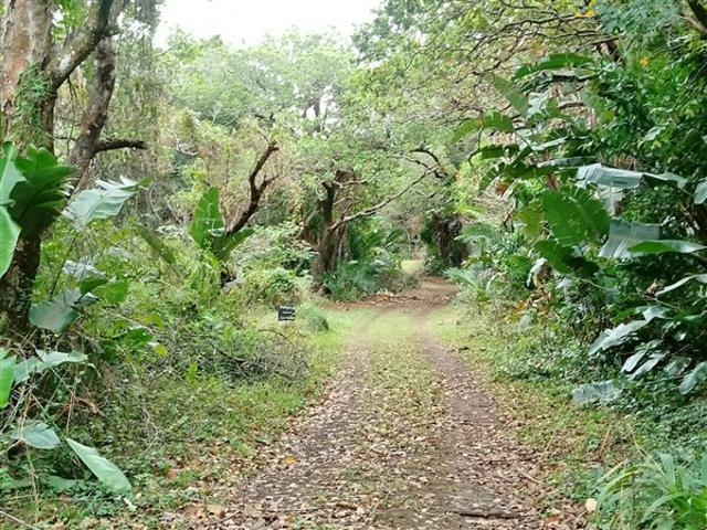 Property for sale in Ugu District Municipality, Kwazulu-natal