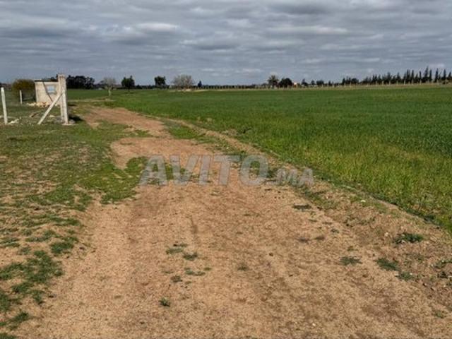 Propriété vente à Slimane, Gharb-Chrarda-Beni Hssen