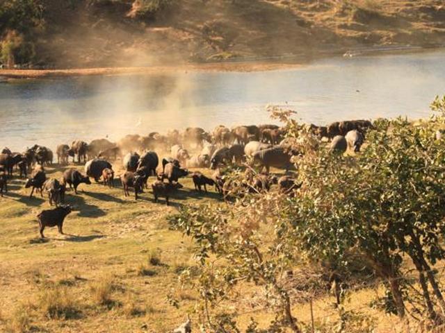 Property for sale in Ehlanzeni, Mpumalanga