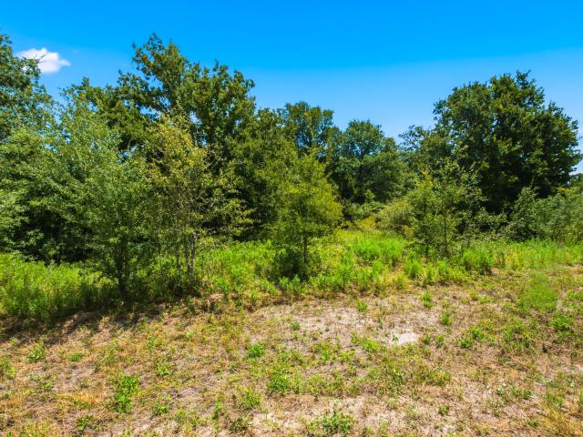 Land for sale in Snook, Texas