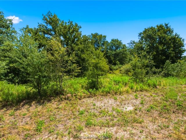 Land for sale in Snook, Texas