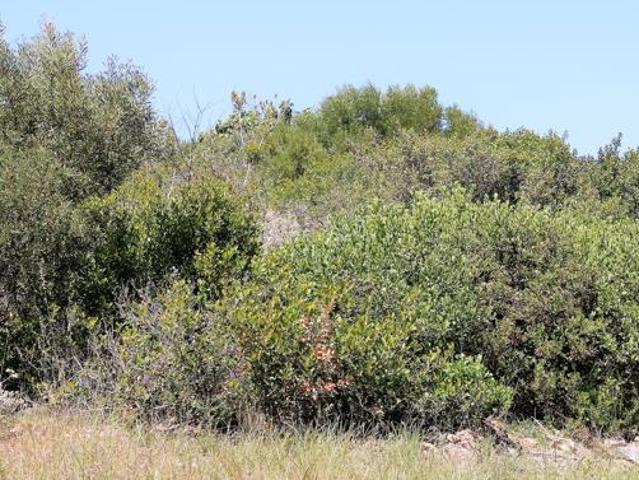 Property for sale in Groot Brak Rivier, Western Cape
