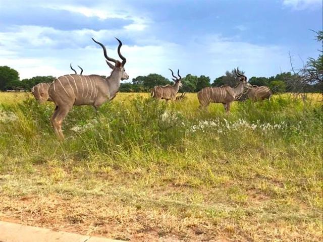 Property for sale in Naboomspruit, Limpopo