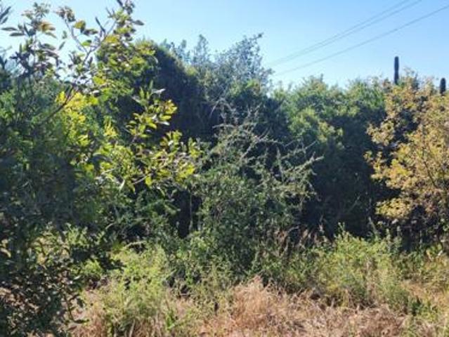Property for sale in Gauteng