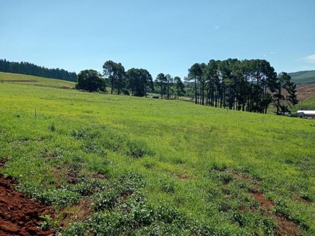 Property for sale in Umgungundlovu, Kwazulu-natal