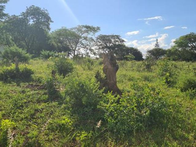 Property for sale in Ehlanzeni, Mpumalanga