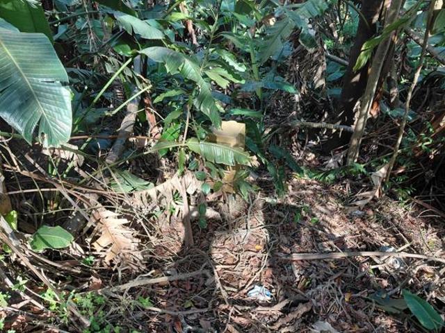 Property for sale in Port Edward, Hibiscus Coast Local Municipality
