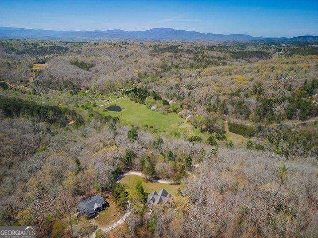 Land for sale in Mineral Bluff, Fannin County