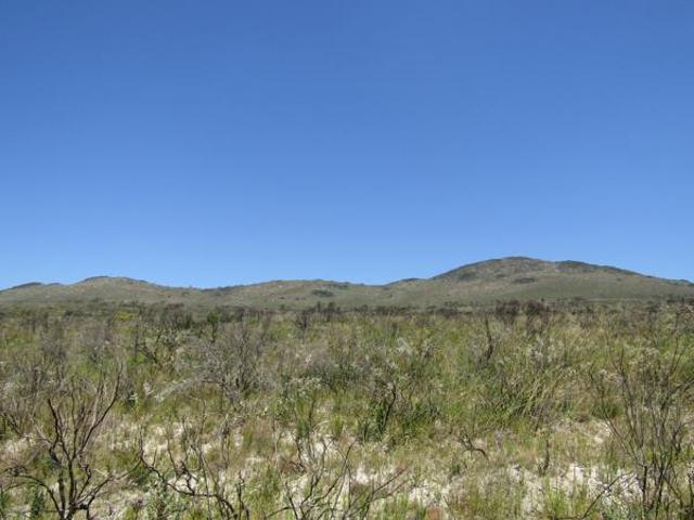 Property for sale in Cape St Francis, Eastern Cape
