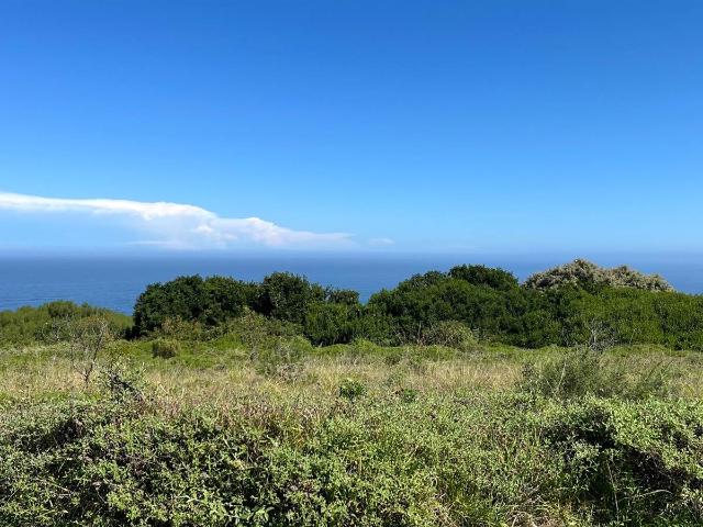 Property for sale in Cape St Francis, Eastern Cape