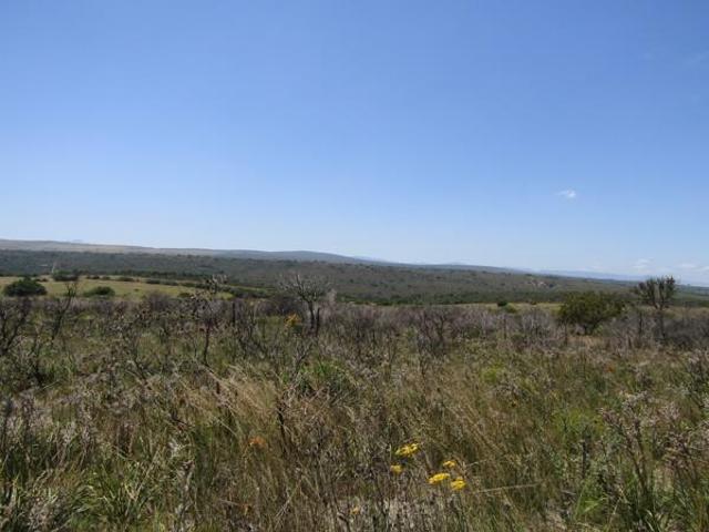 Property for sale in Humansdorp, Kouga Local Municipality