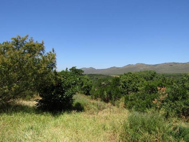 Property for sale in Cape St Francis, Eastern Cape