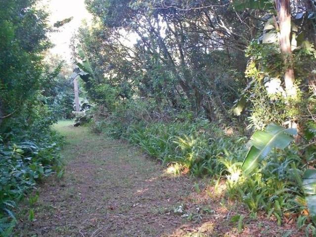 Property for sale in Port Edward, Hibiscus Coast Local Municipality