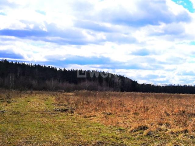 Grunt na sprzedaż w Szprotawa, Lubuskie