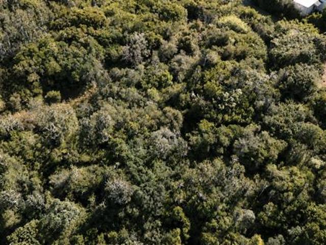 Property for sale in Bushmans River Mouth, Eastern Cape