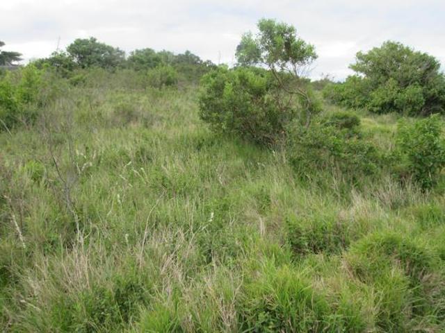 Property for sale in Bushmans River Mouth, Eastern Cape