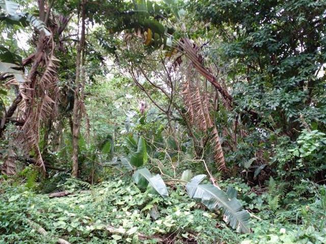 Property for sale in Ugu District Municipality, Kwazulu-natal