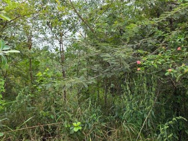 Property for sale in Ehlanzeni, Mpumalanga