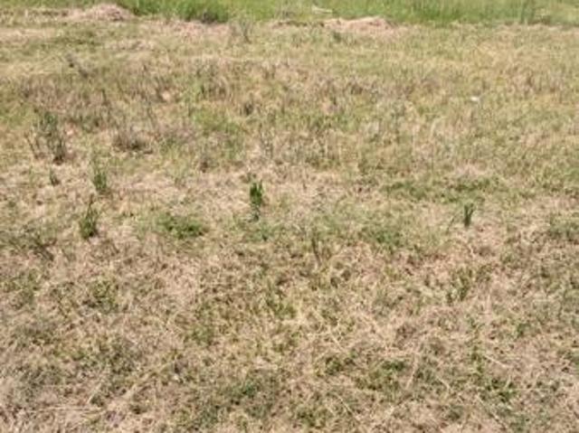 Property for sale in UMhlathuze Municipality, Kwazulu-natal