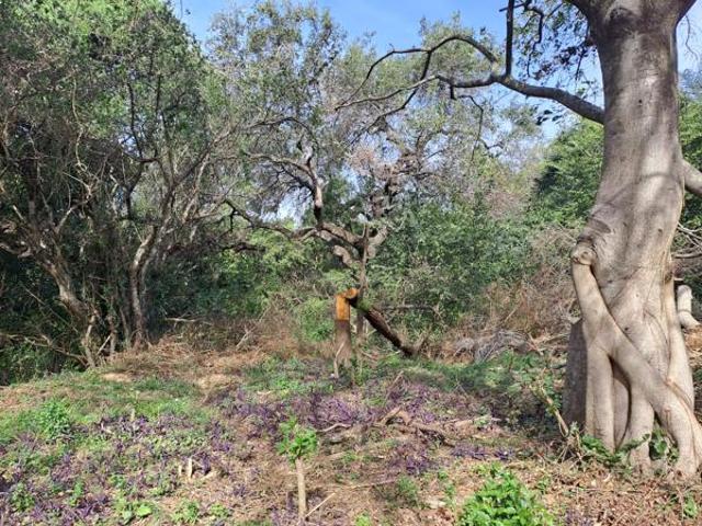 Property for sale in Ehlanzeni, Mpumalanga