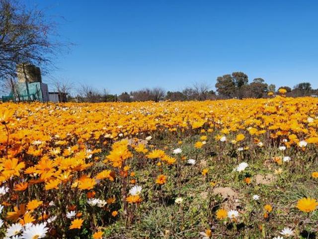 Property for sale in Hantam, Northern Cape