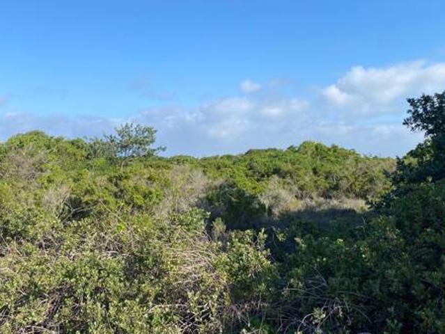 Property for sale in Bushmans River Mouth, Eastern Cape