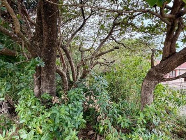 Property for sale in Ugu District Municipality, Kwazulu-natal