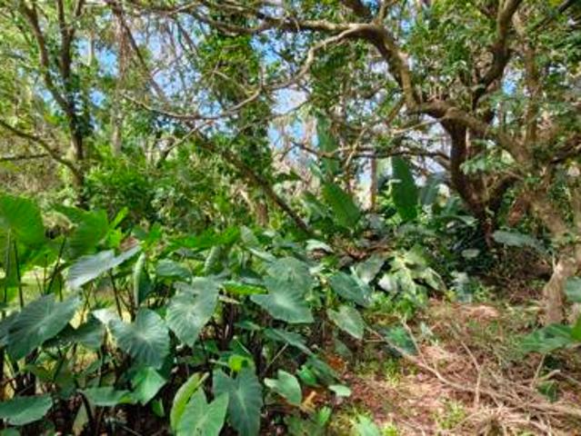 Property for sale in Ugu District Municipality, Kwazulu-natal