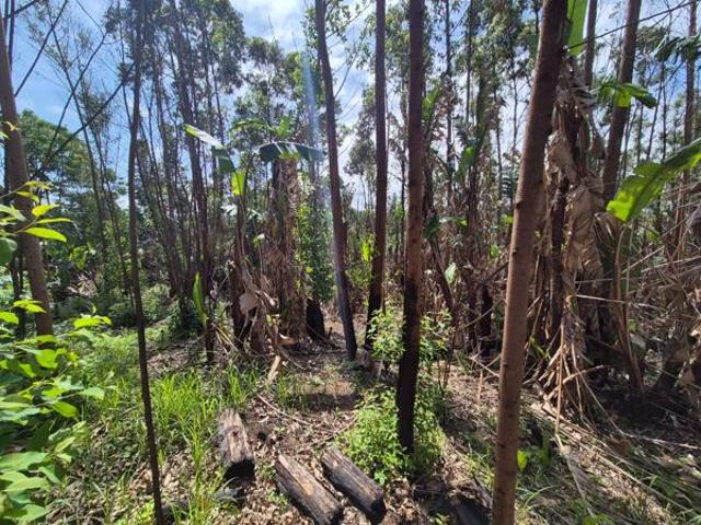 Property for sale in Ugu District Municipality, Kwazulu-natal