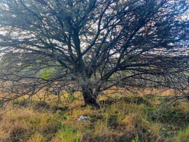 Property for sale in Gauteng