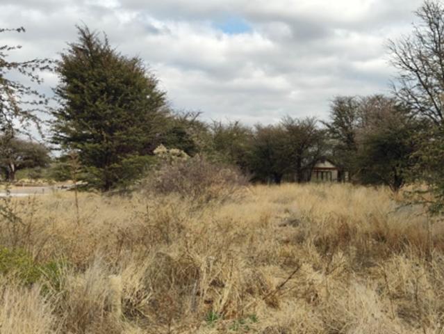 Property for sale in Kgalagadi, Northern Cape