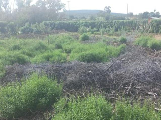 Property for sale in Baviaans, Eastern Cape