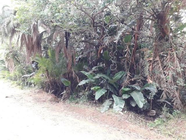 Property for sale in Ugu District Municipality, Kwazulu-natal