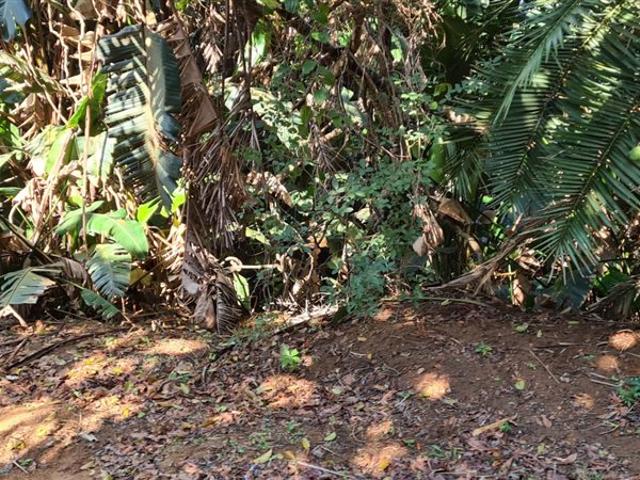 Property for sale in Ugu District Municipality, Kwazulu-natal