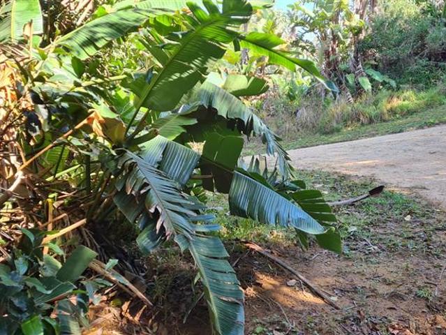 Property for sale in Ugu District Municipality, Kwazulu-natal