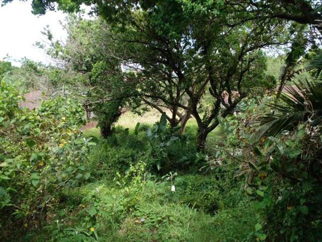Property for sale in Ugu District Municipality, Kwazulu-natal