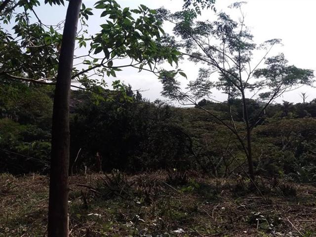 Property for sale in Ugu District Municipality, Kwazulu-natal