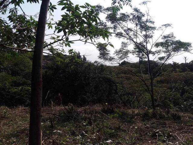 Property for sale in Ugu District Municipality, Kwazulu-natal