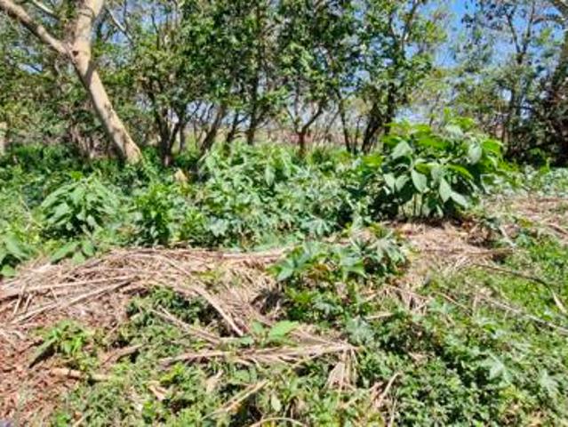 Property for sale in Ugu District Municipality, Kwazulu-natal
